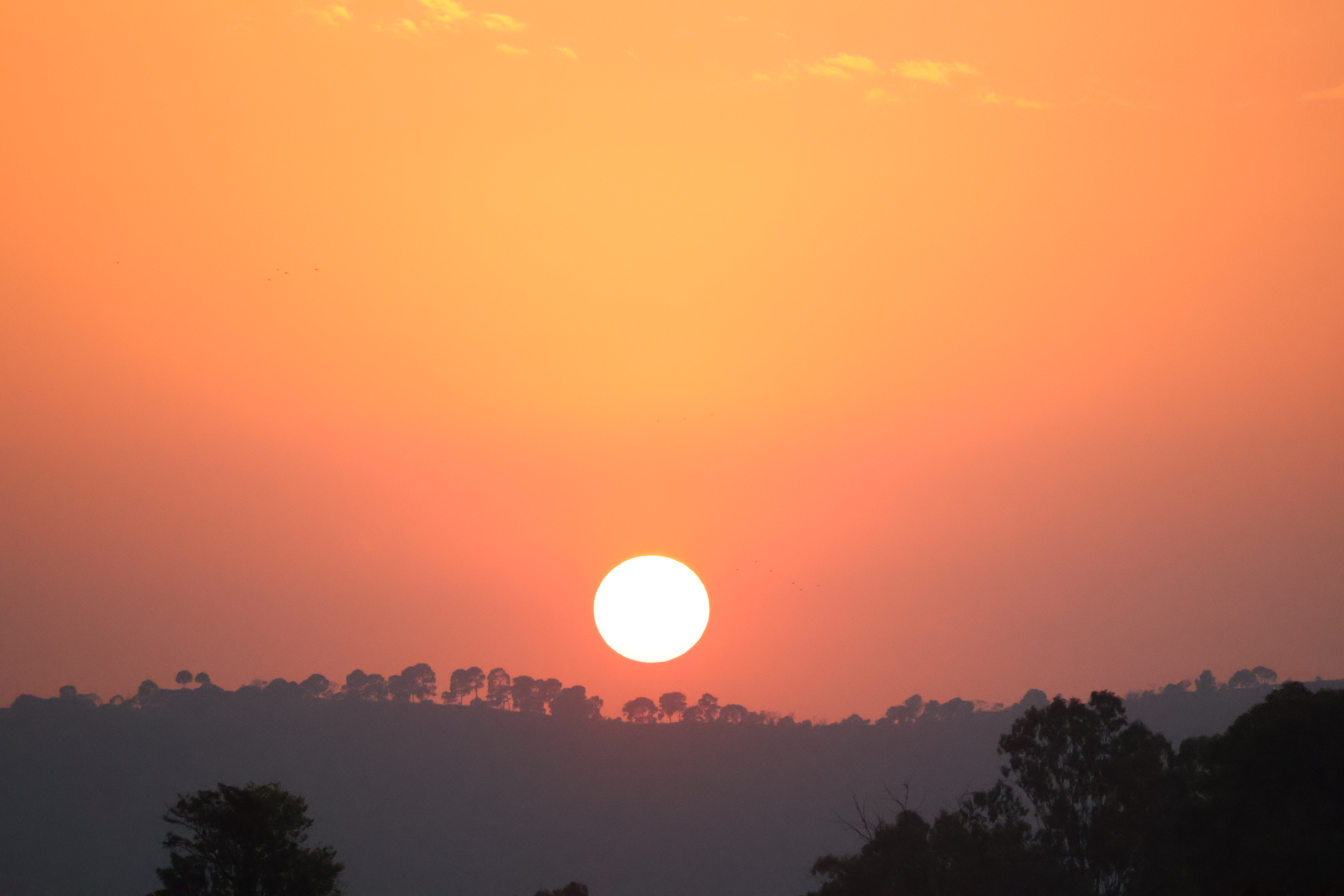 Golden sun above dark hills and scattered trees beneath an orange sky